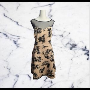 Trixxie clothing company dusty rose party dress